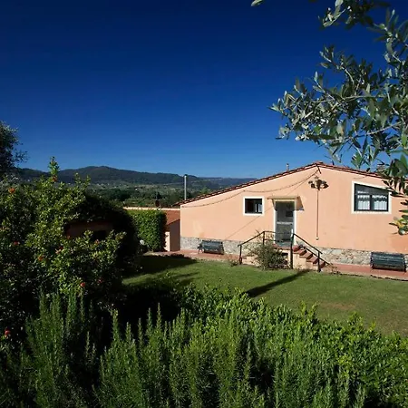 Tenuta Gaetano Spadaro Capannori