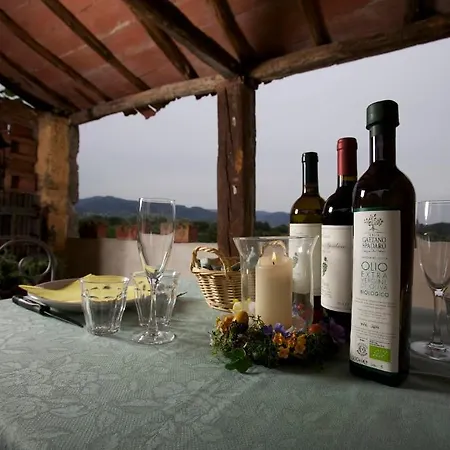 Tenuta Gaetano Spadaro *