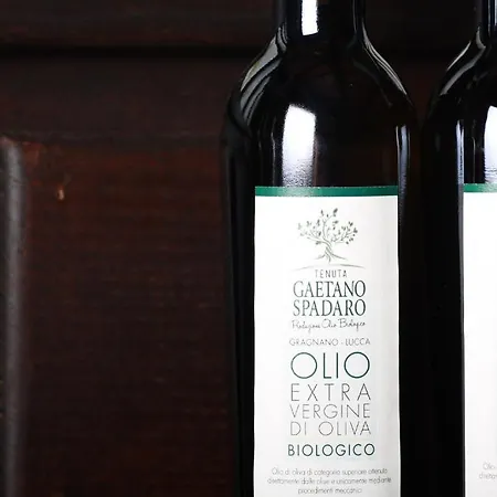 Tenuta Gaetano Spadaro