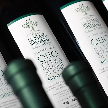 Landsted Tenuta Gaetano Spadaro Capannori