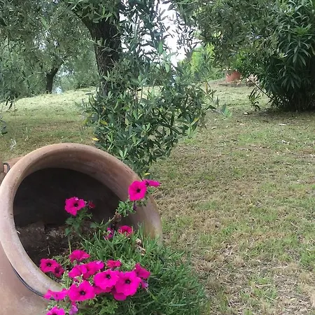Tenuta Gaetano Spadaro * Capannori